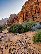 Snow Canyon - Ivins, Utah