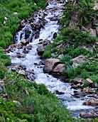 Snowy Range Stream  - Cenntenial, Wyoming