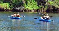 Paddlers - St Lucie River, Florida