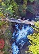 Staircase Bridge - Tallulah Gorge, Georgia