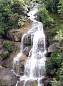 Waterfall - Skykomish River Basin, WA