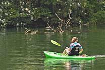 Toccoa River Paddler - Fannin County, GA