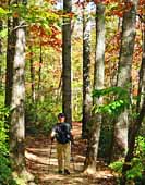 Twin Arches Trail - Oneida, Tennessee