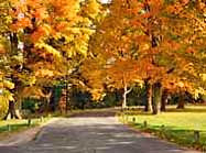 Vanderbilt Mansion Grounds