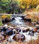 Wheeler Peak Stream