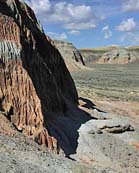 Whitehorse Creek Cliffs - Whitehorse Creek Valley Study Area - South Pass City, WY