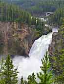 Upper Yellowstone Falls and Chittenden Memorial Bridge- Yellowstone National Park, Wyoming