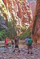 Zion Narrows, Zion National Park - Springdale, Utah