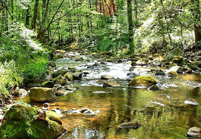 Hurricane Creek - Cullman, Alabama