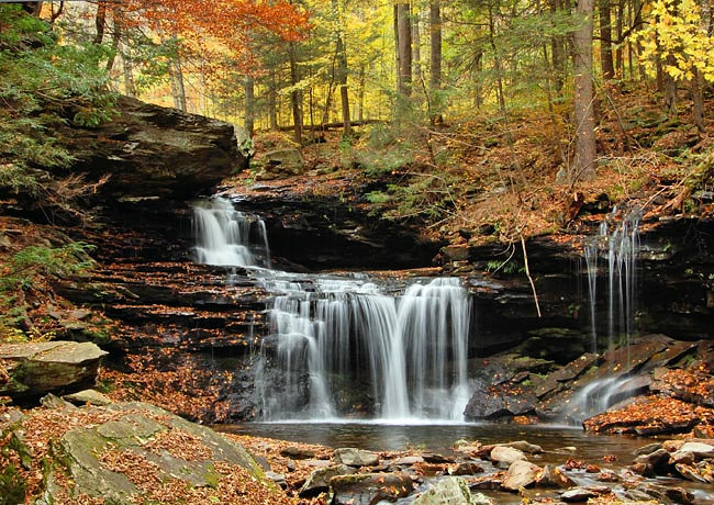 Ricketts Glen State Park Pennsylvania