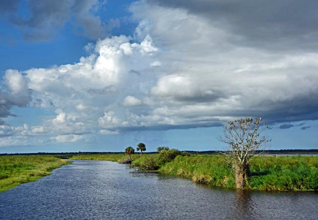 Canaveral Marshes - Brevard County, Florida