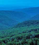 White Rock Mountain View - White Rock WMA, Mulberry, AR